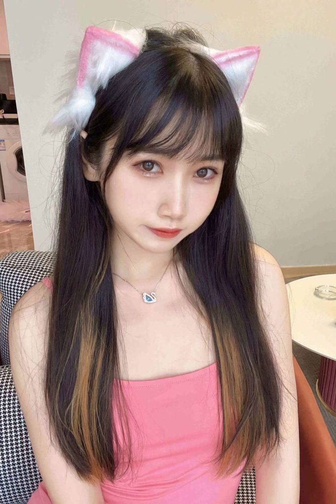 不呆猫 战国袍